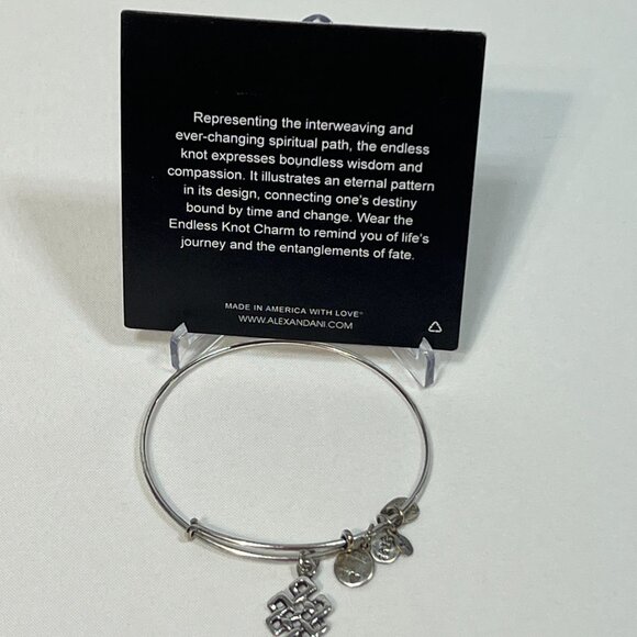 Alex and Ani Silver Endless Knot Charm Bangle Bracelet - Picture 2 of 5